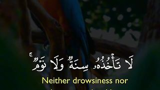 Ayatul kursi Neither drowsiness nor sleep overtakes him