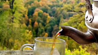 Good Morning View / Relaxing View / Amazing Video