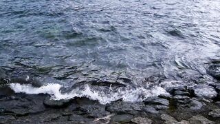 Relaxing music with aesthetic scenery...