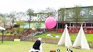 New video