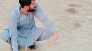 Funny videos | Short videos