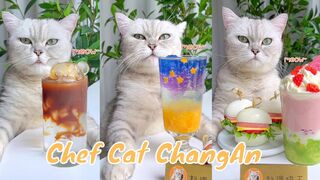 】???? NEW Wonderful Compilation of 2 Weeks ! #CatCookingFood