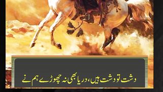 story of islamic hero  uqba bin nafy