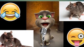 |Dharkan| Most Funny Song By Talkingtom | Latest Funny Song | Talkingtom Billa