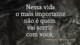 Motivação diária.         Inscreva se