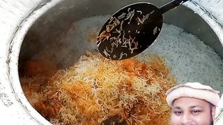 11. Biryani| Biryani short