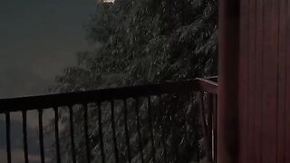 Viral Short Video / Its Trending / NATURE