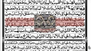 beautiful quran recitation | Qari Ameer Ali Rind | Taught-The-Quran