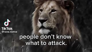 Loin attack