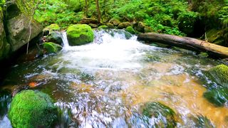 Beautiful montain water flow