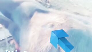 Very funny video