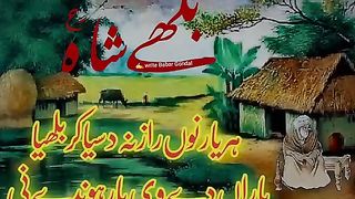 ہر یار نوں راز نہ دسیا کر