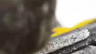 Craft video