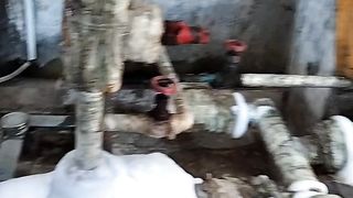 freezing plant