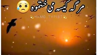 Pashto peotry