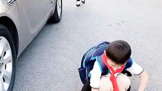Beautiful Movement of life