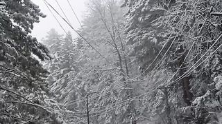 Muree beauty