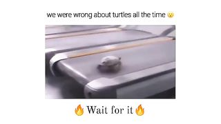 Memes viral funny memes