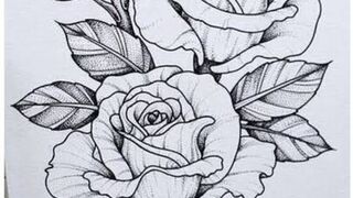 Draw a Rose Easily