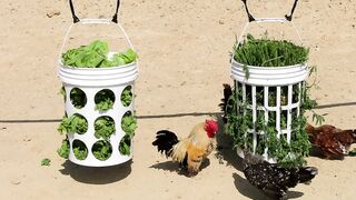 Animals 4k video4k Animals Video????। 4k Pet Animals । 4k Animals Collection????️। 4k Cat Video????। 4k Dog Video????। 4k Nature