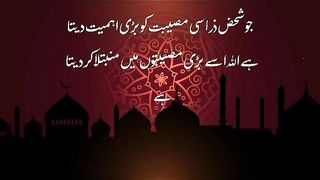 Imam Ali AS Aqwal | Hazrat Ali AS quotes | imam Ali AS