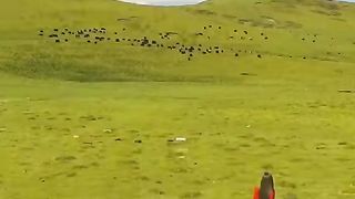 VID_20230106_221827_839.
