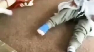 Kid vs dog ????