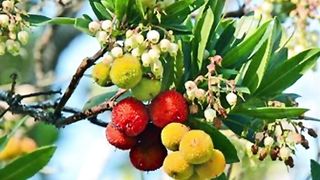 Beautiful nature