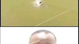 "Hilarious Home Videos: The Funniest Clips on the Internet"