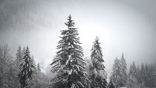 Nature beauty