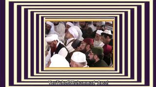 Hazrat Abu Bakar ؓ  our Hazrat Ali ؓ  ka Maqam by Dr. Tahir ul Qadri