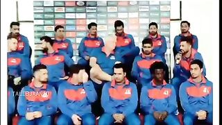 Cricket