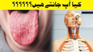 Most Amazing Facts You Should Know Before Die