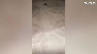 Laugh #1