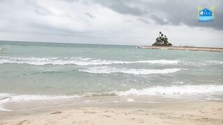 Nature Therapy: Relaxing Full Motion Forestry With Natural Sounds