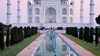 Beautiful WhatsApp status