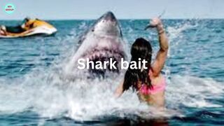 Shark bait #subscribe #shorts #pubg #pubgmobile #like #gaming #share #gaming