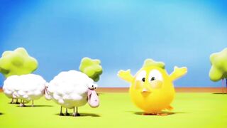 Funny Chicky video
