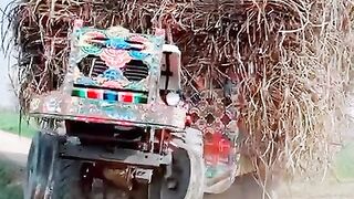 Tractor sugarcane load