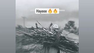Song????????????