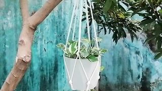 5 Simple Arms Macrame Plant Hanger