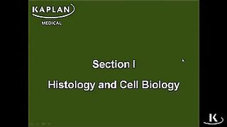 1- Nucleus | CHAPTER#1- CELL BIOLOGY AND EPITHELIUM