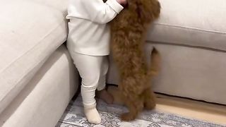 Funniest pets