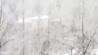 Kashmir Snow weather