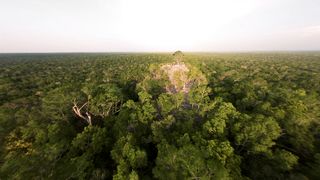 Deep in the Guatemalan Jungle with my FPV Drones