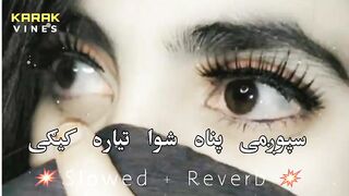 Pashto New Songs | Slowed Reverb | 2023 | Pashto Tappy | @karakvines