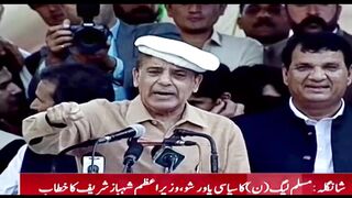 Shabaz Shareef