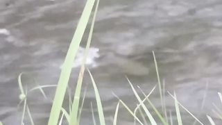 Nice video