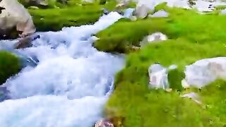 Beautiful nature mountains