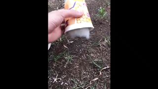 Beautiful cute little cats carrying